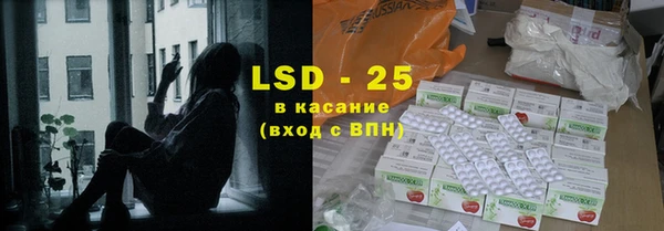 ГАЛЛЮЦИНОГЕННЫЕ ГРИБЫ Алзамай