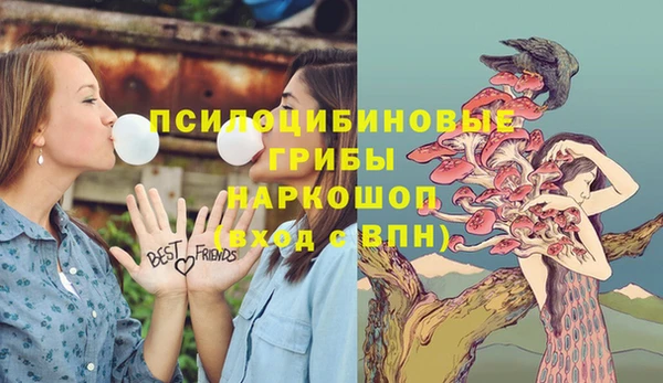 ГАЛЛЮЦИНОГЕННЫЕ ГРИБЫ Алзамай